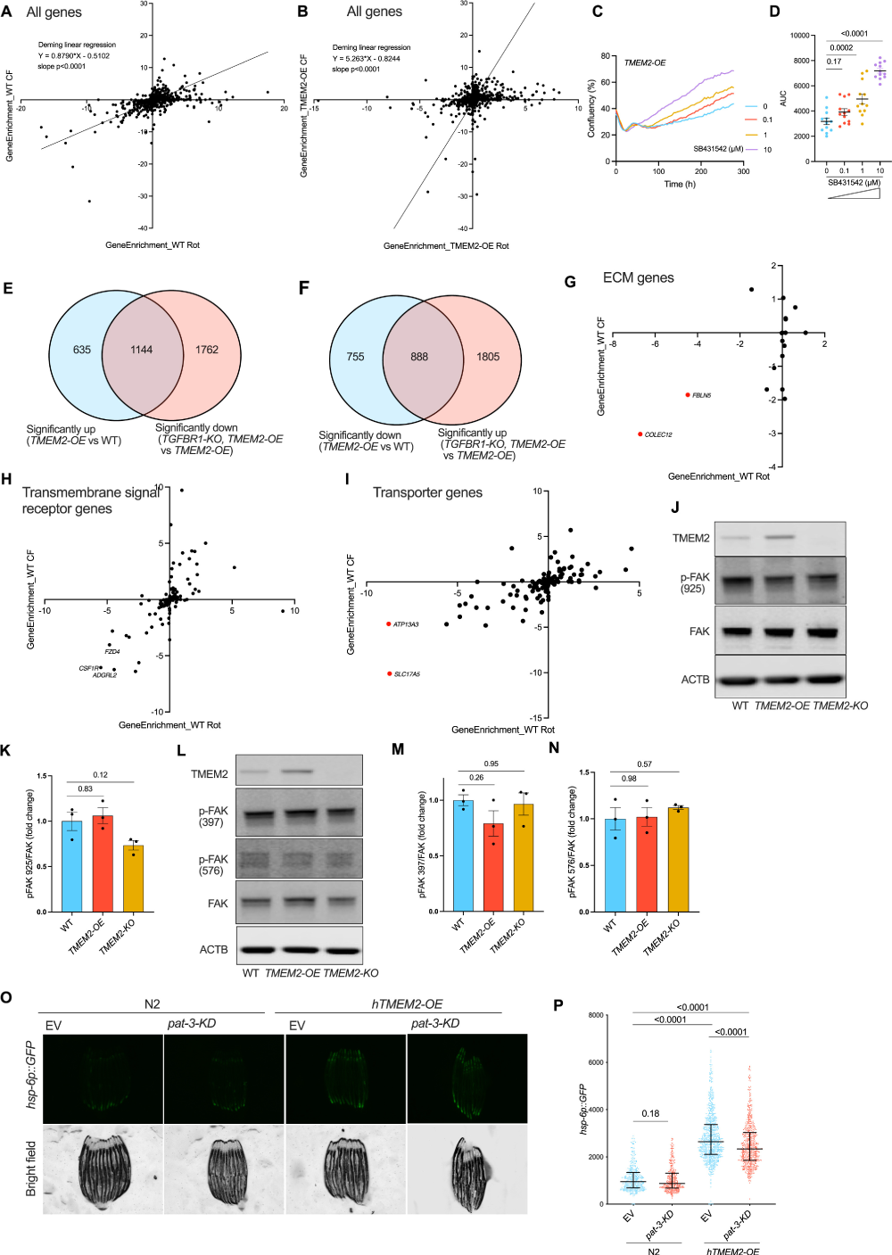 S0092-8674(24)00638-X